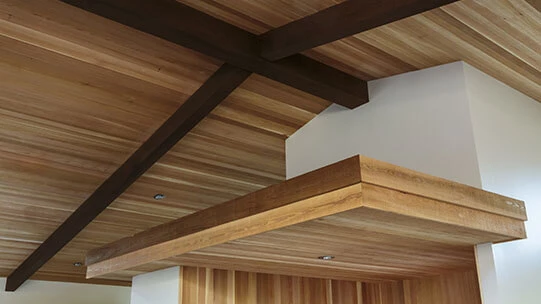 了解更多资讯 (English)